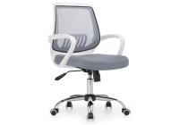 Компьютерное кресло Ergoplus light gray / white фото Компьютерное кресло Ergoplus light gray / white