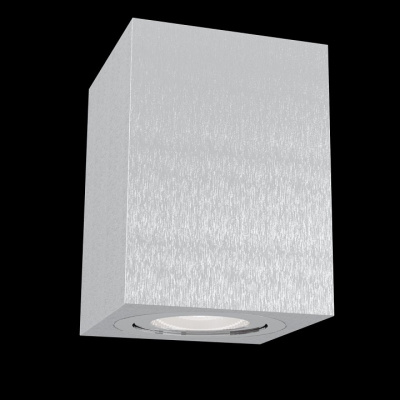 Накладной светильник Maytoni Alfa C017CL-01S. Фото №2