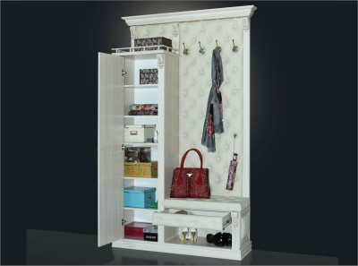 Прихожая Благо 5 Б 5.11-5. Фото