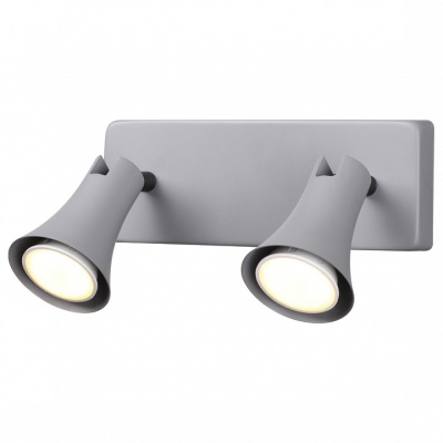 Спот Odeon Light Reanna 3825/2W. Фото