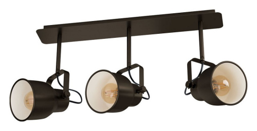 Спот Eglo Mitchley 43387. Фото №1