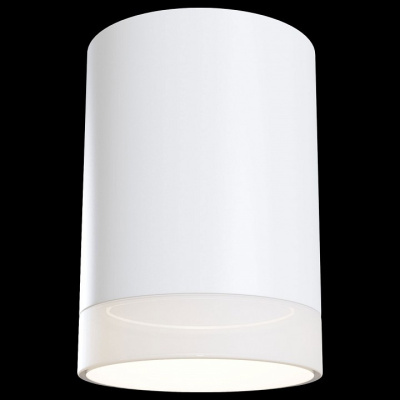 Накладной светильник Maytoni Pauline C008CW-01W. Фото